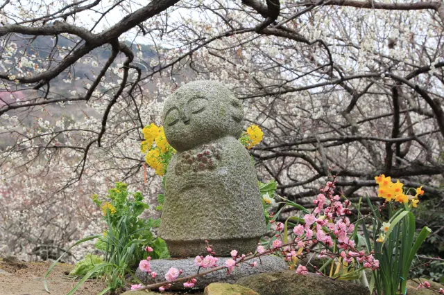 梅林の中たたずむ穏やかな表情をしたお地蔵様も愛らしい
