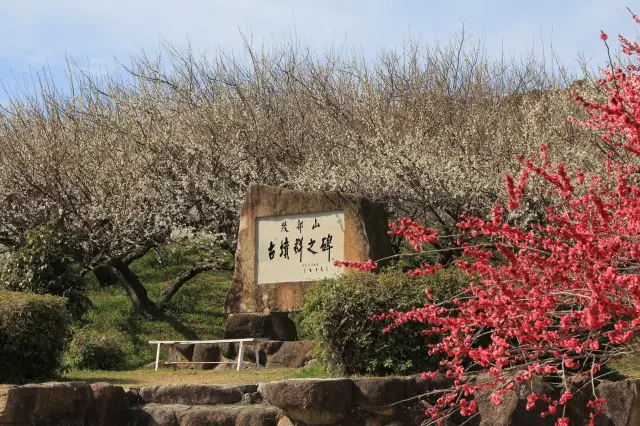 園内には、将軍塚古墳など、16基の古墳が点在する