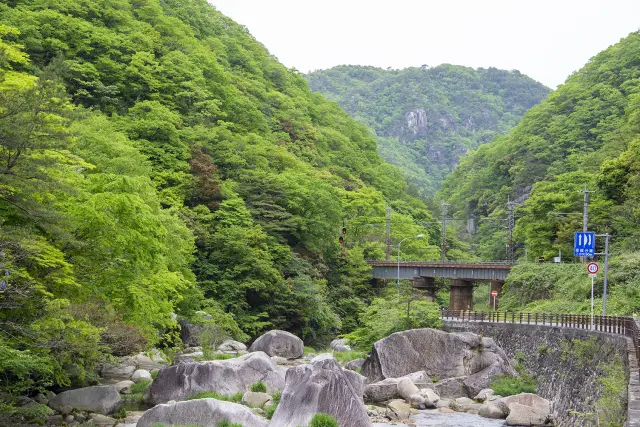 整備された渓谷沿いの道をのんびり散策しよう