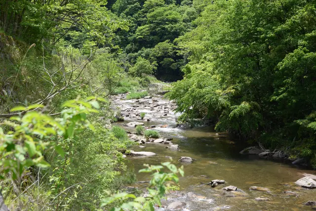 花崗岩を浸食した大小の奇岩が点在する