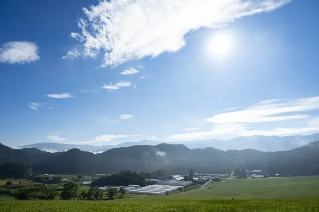 大自然に囲まれた観光牧場