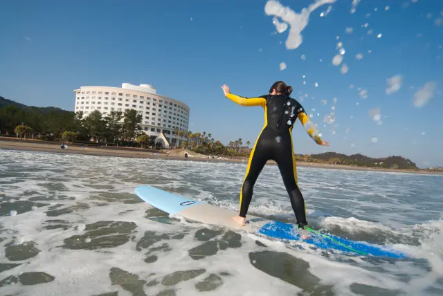 初心者でも安心して始められるサーフィンスクール