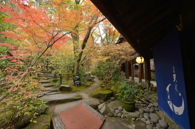 紅葉の季節には敷地内が赤く染まる