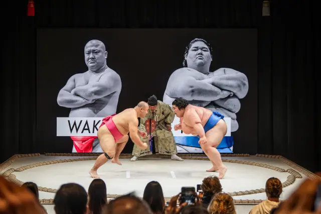 巨体がぶつかり合う迫力の取組を目の前で