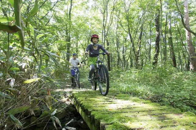 大自然のコースを走る「サイクリングツアー（春季〜11月末頃）」