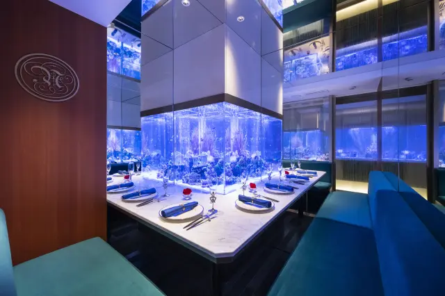 水槽を眺めながら食事が楽しめる