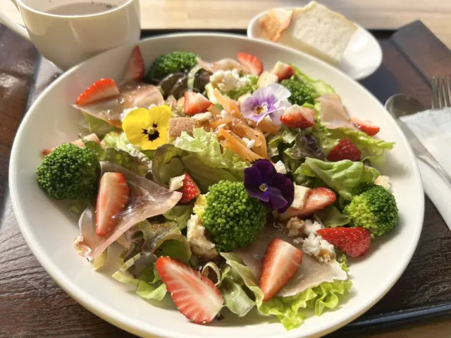 季節のサラダやピッツァのランチ（平日限定）