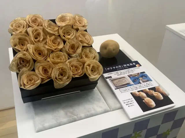 大阪・関西万博で展示されていたお菓子のアート作品