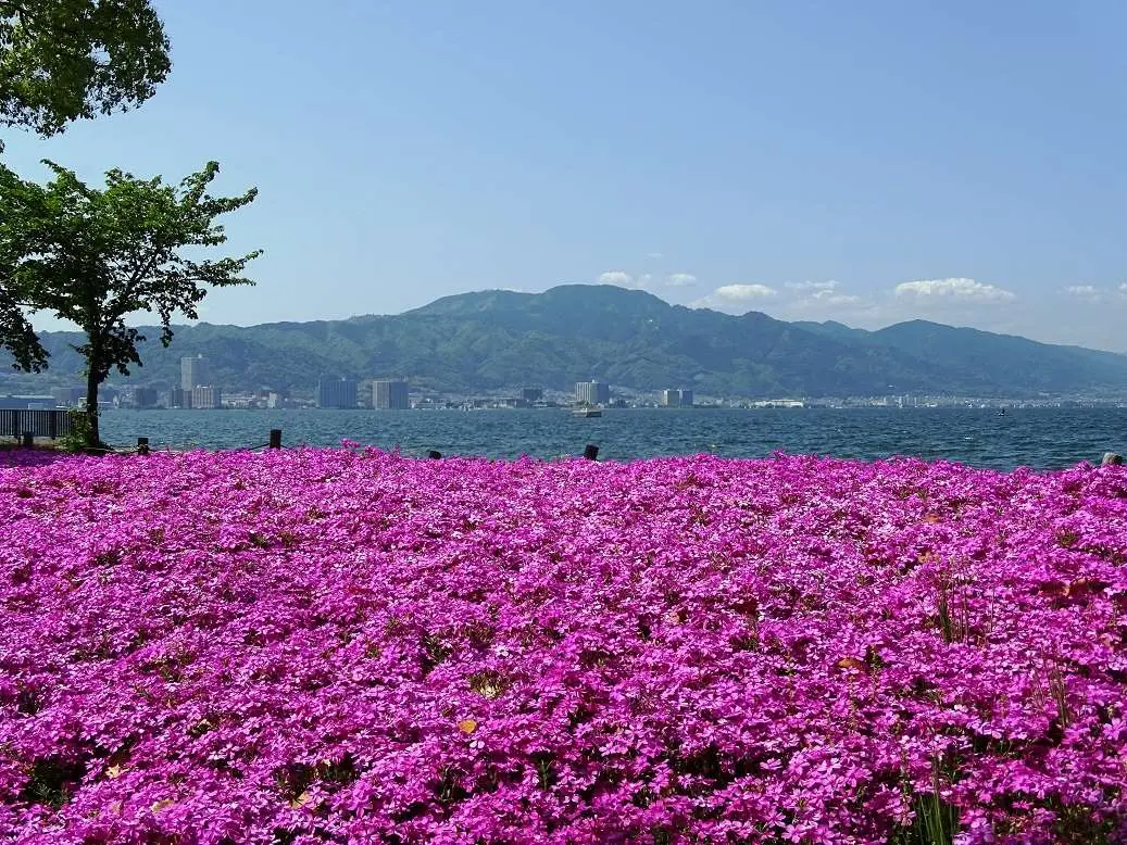 大津湖岸なぎさ公園