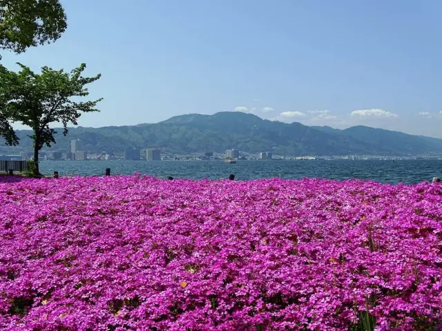大津湖岸なぎさ公園