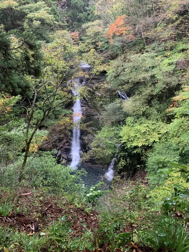 「千代川」の源流域に渓谷が広がっている