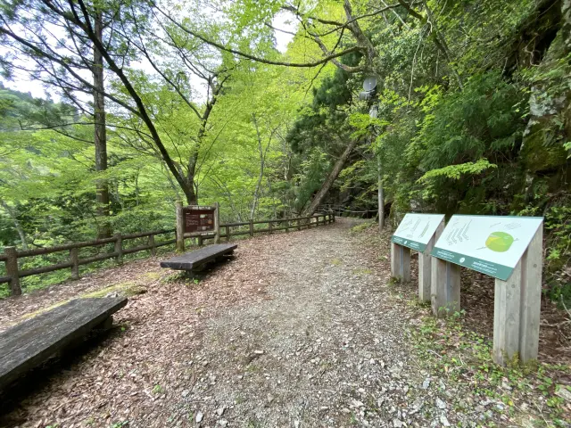 ｢森林セラピー｣の拠点としても注目を集めている