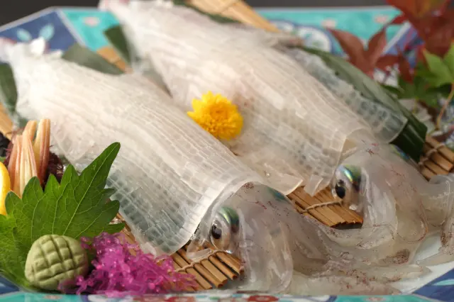 呼子名物「イカの活き造り」は看板メニュー