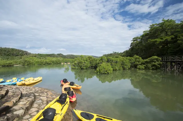カヌー体験も人気