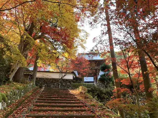 紅葉の時期なら近くにある玉雲寺も合わせて回りたい
写真提供：一般社団法人京丹波町観光協会