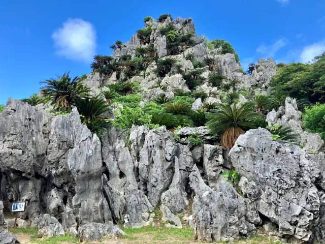 2億5千万年前の石灰岩層が隆起してできたアスムイハイクス