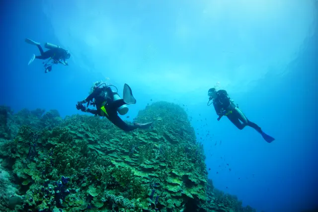 透明度抜群の海でスキューバダイビング