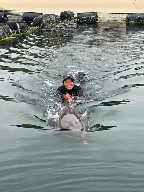 「ドルフィンスイム」は小学生以上が参加可能