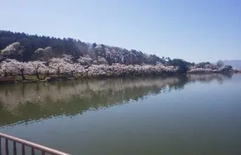 春は「高松の池」周辺に桜が咲き競い、多くの花見客が訪れる