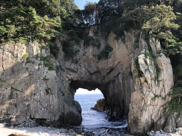 遊歩道から間近で観察できる