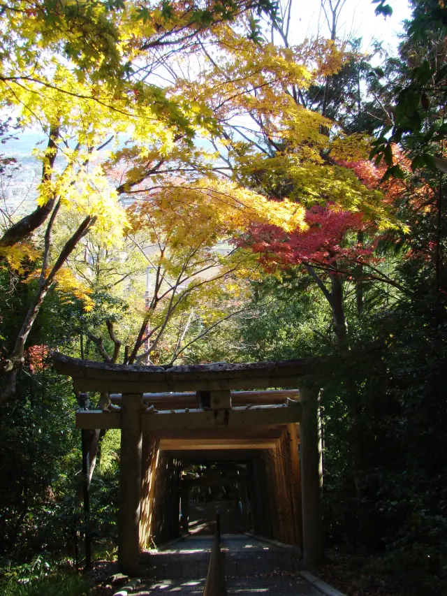 自然豊かな境内