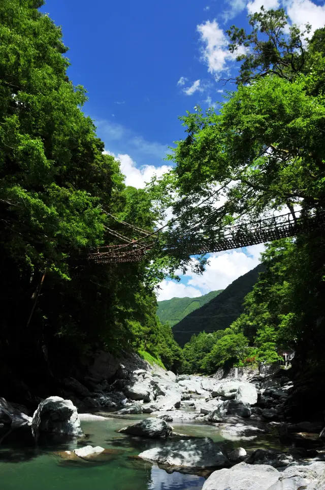観光客には「祖谷のかずら橋」も人気