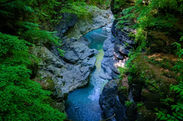 從「Fureai大橋（ふれあい大橋）」遠眺的新綠風景