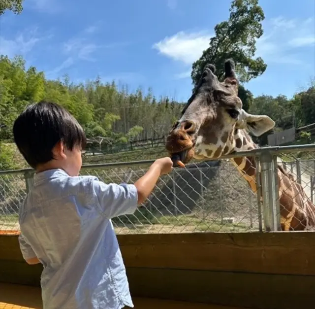 きりんの餌やりなど体験プログラムが豊富