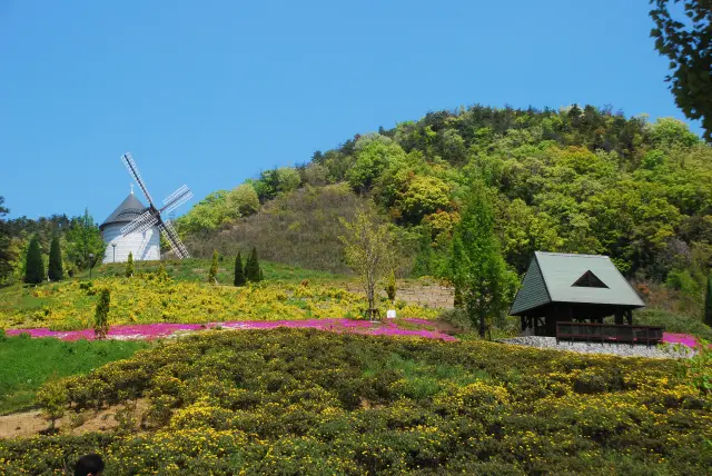 季節の花に囲まれて散策を楽しめる「風車の丘」
