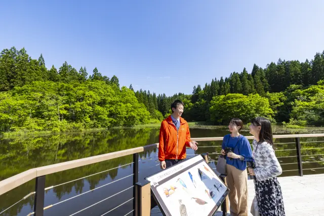 朝の散策では珍しい野鳥に出会えるチャンスも