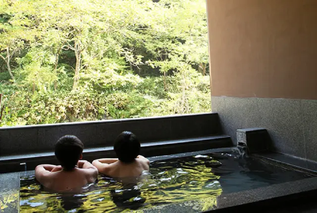 約300年以上前から湧くといわれる「湯の沢温泉」の湯