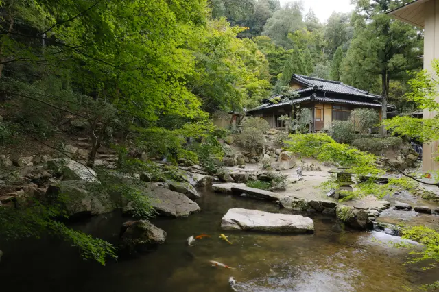 県の名勝に指定される庭園「依水苑」
