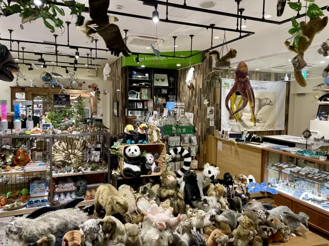 博物館や美術館を巡ったあとに立ち寄りたい「ザ・スタディールーム」