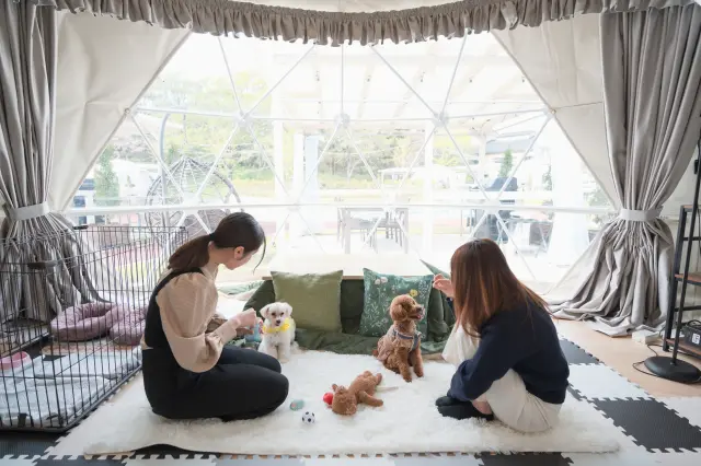 愛犬と一緒に過ごせる「ドッグタイプ」
