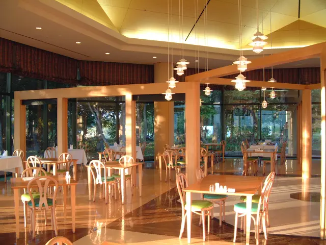 夜間はブナ林がライトアップされ幻想的な空間に