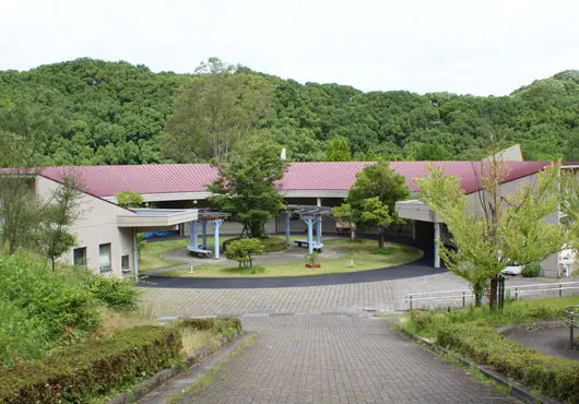 在園內還定期舉辦木工體驗等各式各樣的活動課程