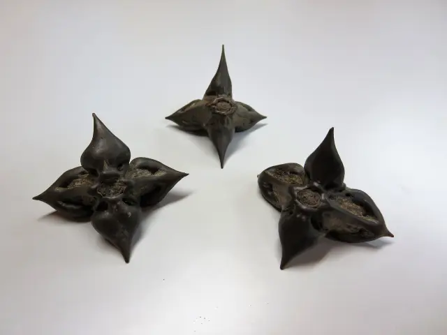 資料室では、忍具や忍術についての資料を展示している