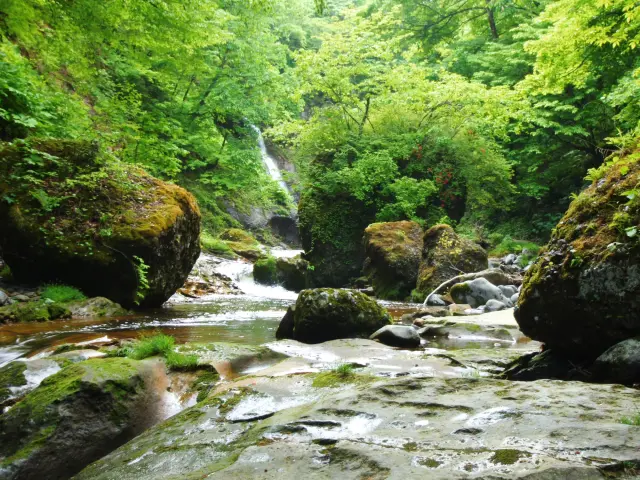 県立 自然公園 二口峡谷