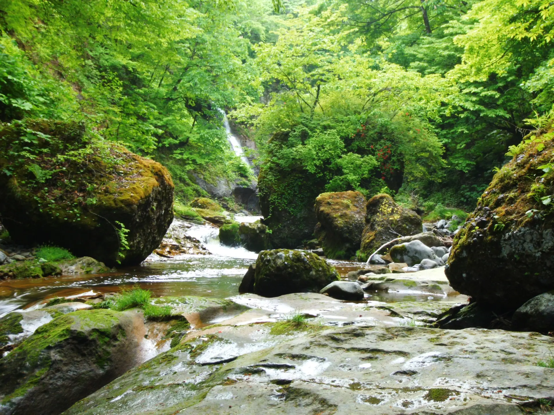県立 自然公園 二口峡谷