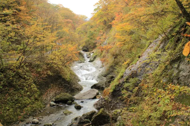 紅葉は10月中旬〜下旬に見頃を迎える