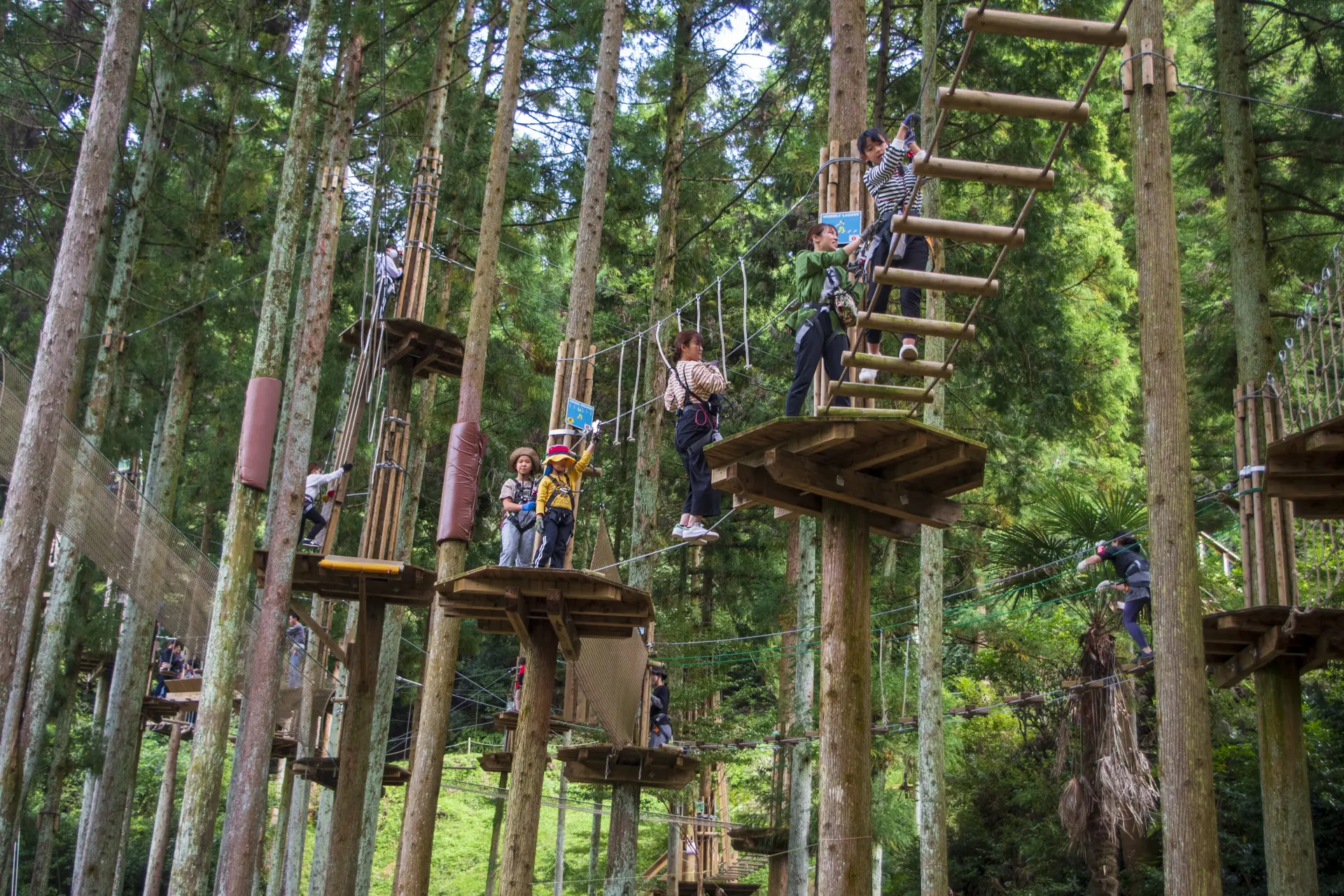 フォレストアドベンチャー・西条