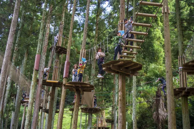 レベルや年齢に応じた2種のコースから選べる