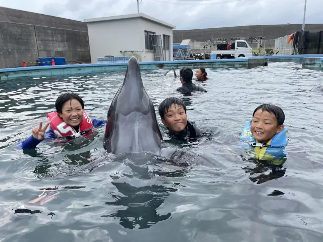 誰もが笑顔になれる「ドルフィンスイム」