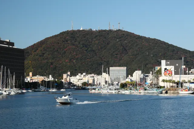 市街地からもよく見える徳島のシンボル