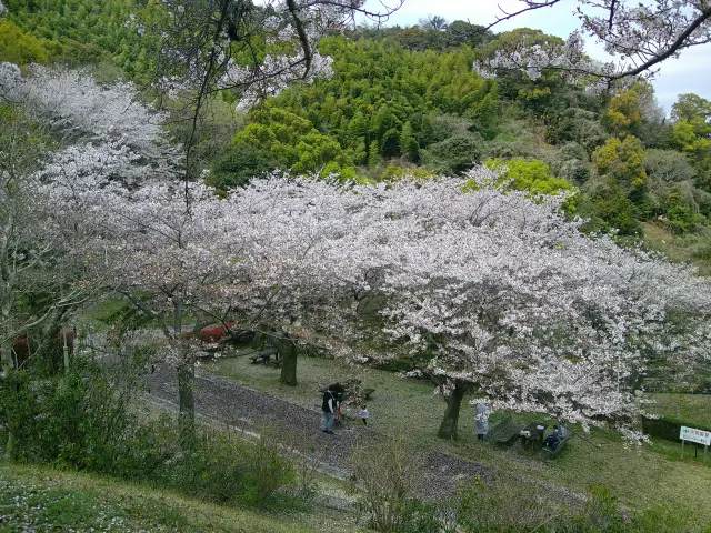 日峯大神子広域公園