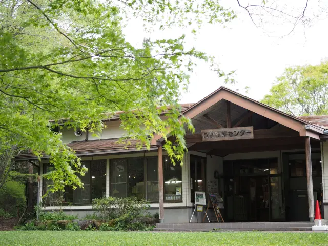 レンジャー（自然観察指導員）によるガイドウォークが人気