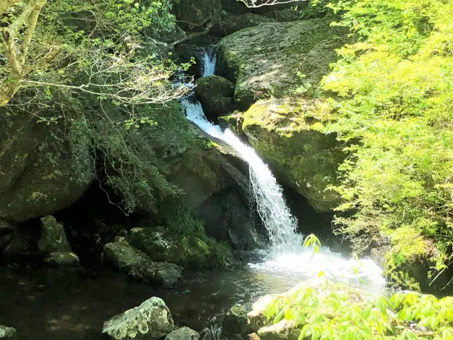 京都府立るり渓自然公園