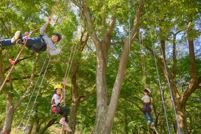 ゴールデンウィークなど大型連休には、ツリーイング体験を開催