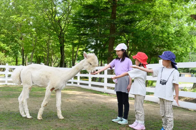 樽ケ橋遊園