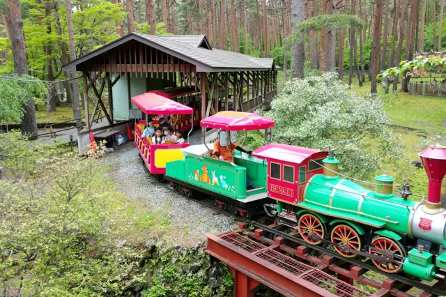 木漏れ日の中を進む「SL森林鉄道」は小さな子供でも安心して楽しめる